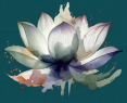 Creative Mindful Arts Studios